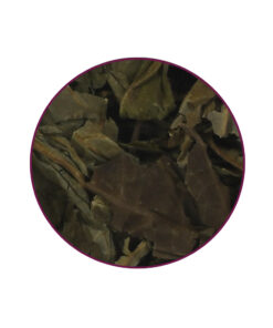 Salvia Divinorum contents