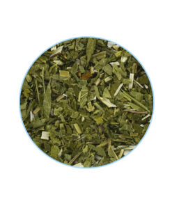 Skullcap contents