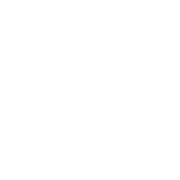 Homepage 2025 icon test